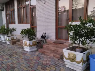 Гостевой дом «ЧЕРНОМОРЕЦ», п. Лазаревское